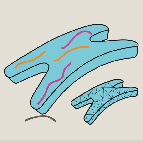 Preview for Design and Control of Soft Robots Using Differentiable Simulation