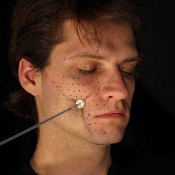 Preview for Capture and modeling of non-linear heterogeneous soft tissue