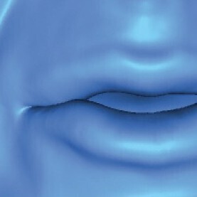 Preview for User-Guided Lip Correction for Facial Performance Capture
