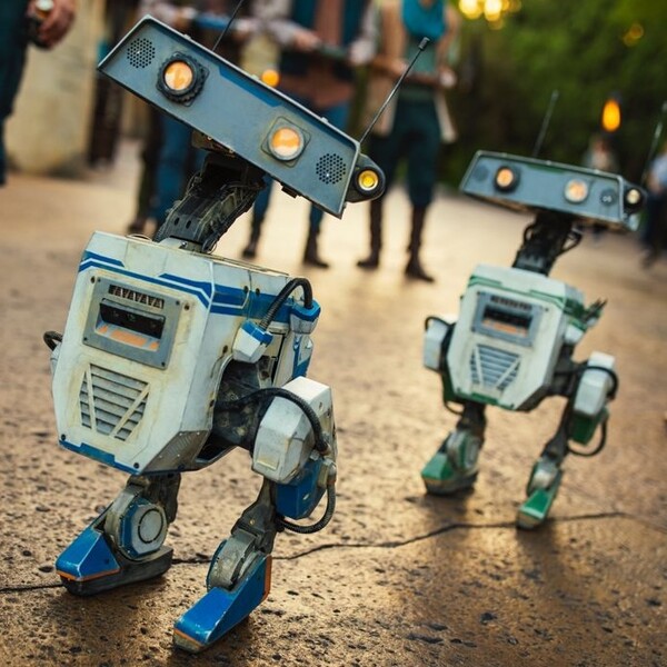 Preview for Design and Control of a Bipedal Robotic Character