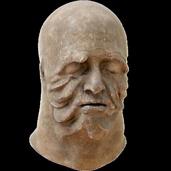 Preview for Enriching Facial Blendshape Rigs with Physical Simulation