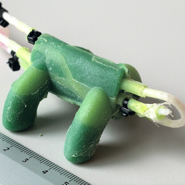 Preview for Automated Routing of Muscle Fibers for Soft Robots